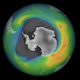A satellite data visualization of the 2020 ozone hole.